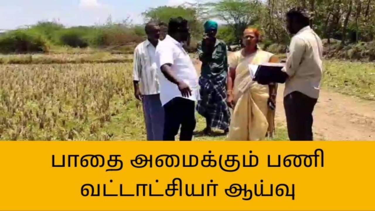 ரெங்கநாதபுரத்தில் பாதை அமைக்கும் பணியை ஆய்வு செய்த வட்டாட்சியர்!