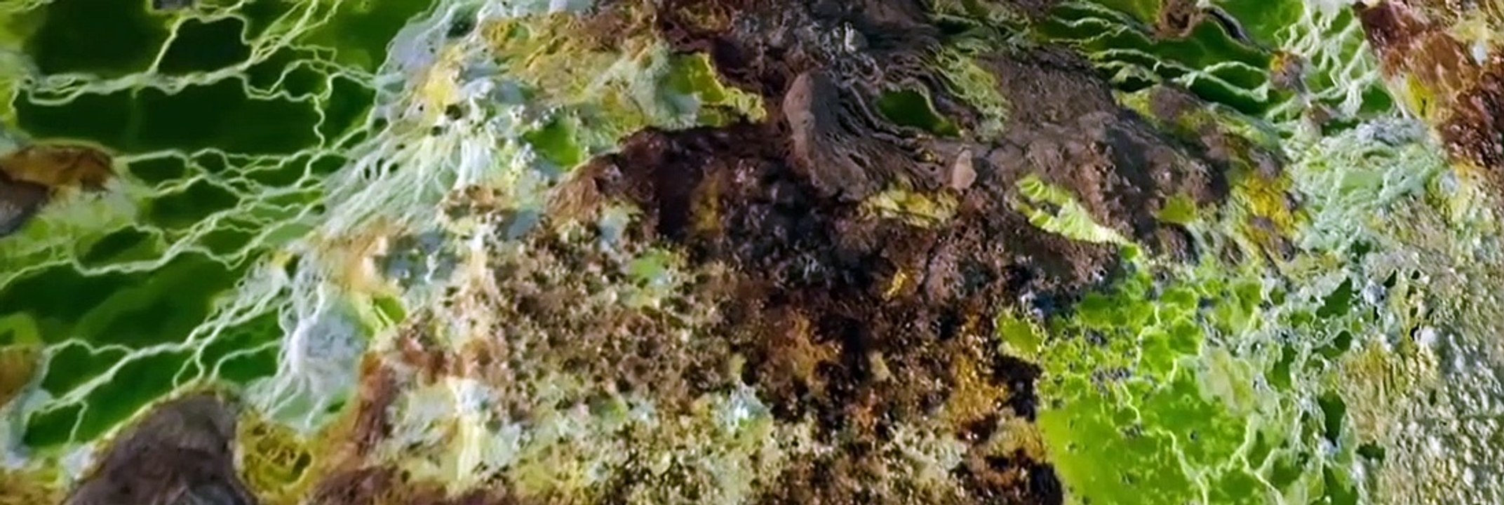 Alien Worlds E002