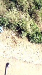 Video:गाज़ियाबाद के ग्राम नाहल में तालाबों पर जल्द चलेगा बुलडोजर