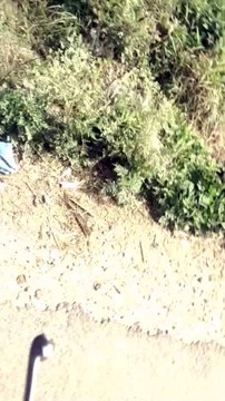 Video:गाज़ियाबाद के ग्राम नाहल में तालाबों पर जल्द चलेगा बुलडोजर