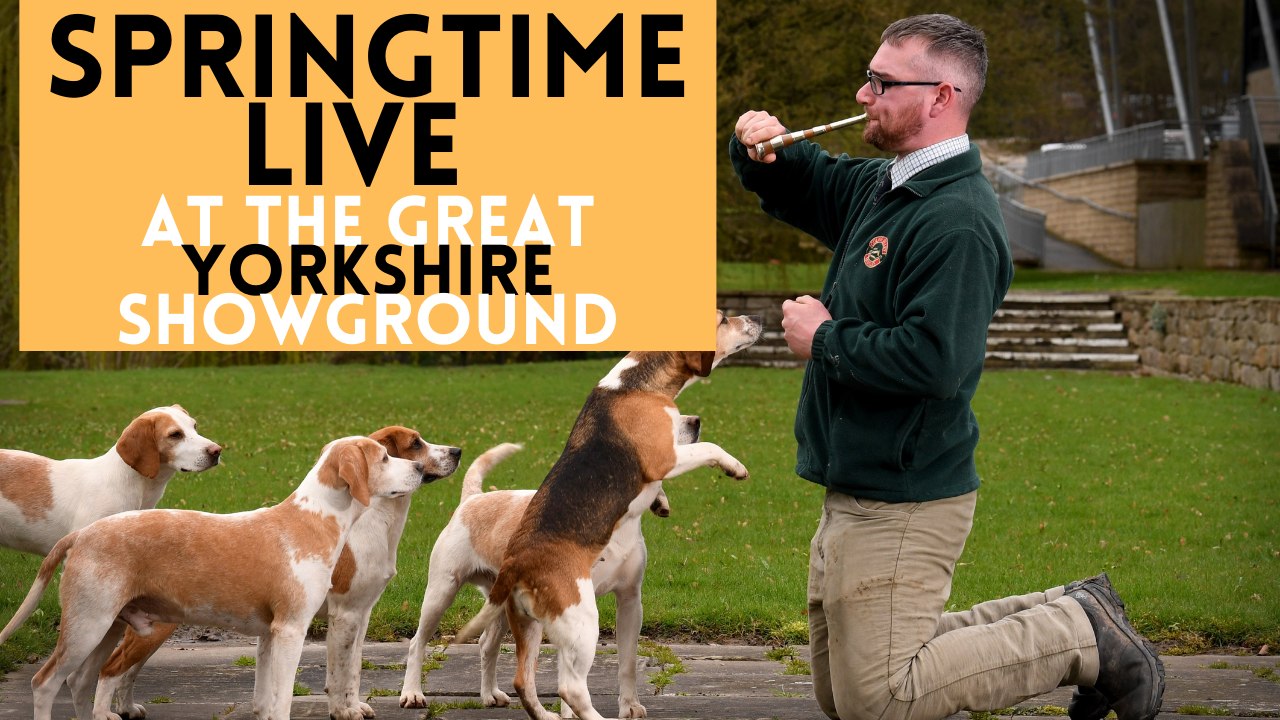Springtime Live Harrogate 2023