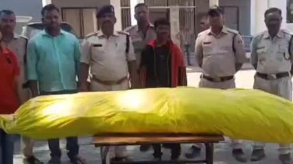सिंगरौली: पुलिस ने गांजे के पेड़ के साथ आरोपी को किया गिरफ्तार