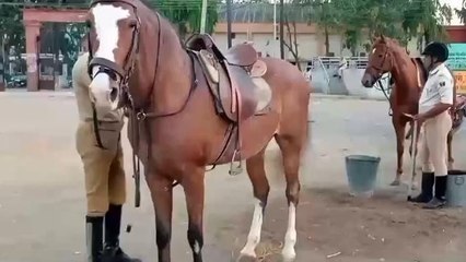 नालंदा: पुलिस अकैडमी से 10 घुड़सवार दस्ता को बुलाया, संवेदनशील इलाकों का करेंगे दौरा