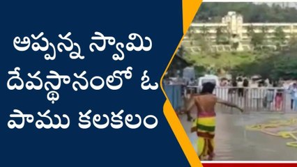 విశాఖపట్నం: అప్పన్న సన్నిధిలో పాము హల్చల్