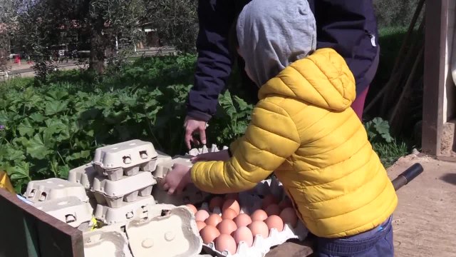 A Roma una fattoria per bambini affetti da autismo, un sostegno per le famiglie