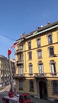 Milano, cane sul tetto salvato dai Vigili del Fuoco