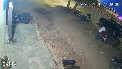 ट्रेलर ने ली सात बहनों के इकलौते भाई की जान, देखें लाइव वीडियो...