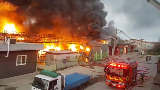 일산 장항동 종이상자 공장에서 불...인명 피해 없어 / YTN