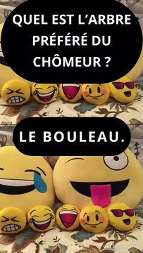 Blague Courte mais Drôle #blague #blaguecourte #blaguedrole (6)