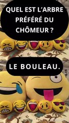 Blague Courte mais Drôle #blague #blaguecourte #blaguedrole  (6)