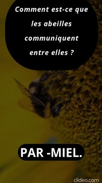 Blague Courte mais Drôle #blague #blaguecourte #blaguedrole (8)