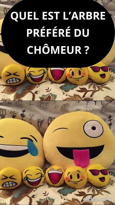 Blagues Courtes mais Drôles #blague #blaguecourte #blaguedrole