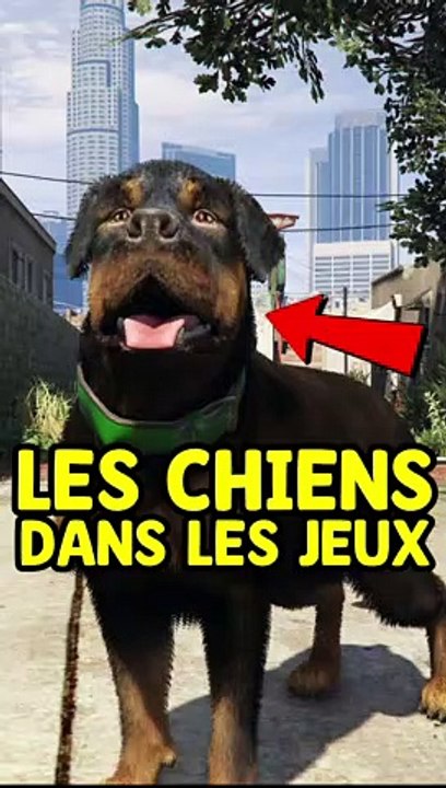 Les chiens de GTA 5 versus les chiens de Minecraft 