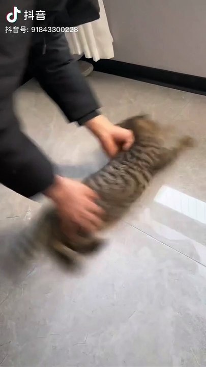 Funny video