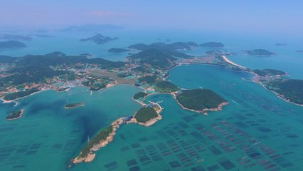 '해양치유 관광 중심' 완도..."경제적 파급효과 4조 원" / YTN