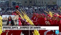 Informe desde Ciudad del Vaticano: papa Francisco preside ceremonia de Domingo de Ramos