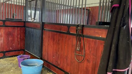 Windy Indy Lets Loose