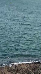 Régate des forts, St Malo le 1er avril 23