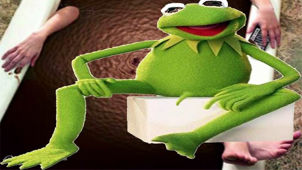 Professional Narrator Tries to Read Kermit x Reader Fanfiction
