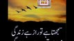 Dailymotion viral video Urdu shayari Urdu poetry Urdu adab