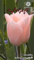 Hadith  #hadees  حدیث نبوی صلی اللہ علیہ وسلم