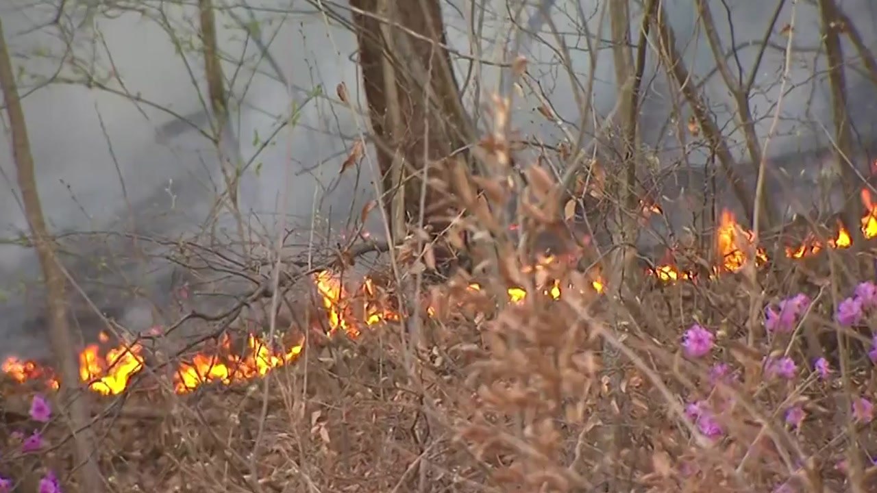 [뉴스라이더] 전국 30여 곳 동시다발 산불...충남 홍성·금산·대전 '산불 3단계' / YTN