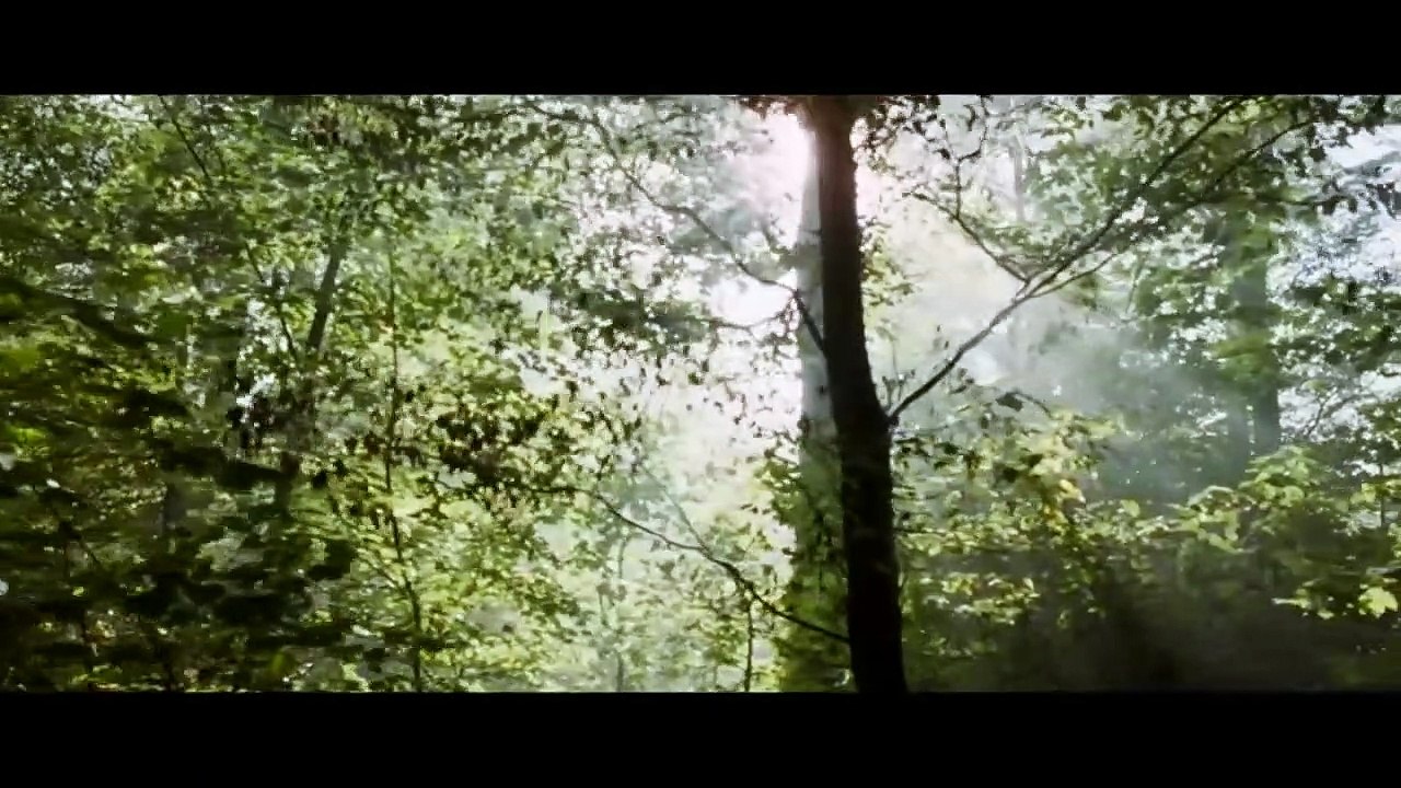 Coco Chanel & Igor Stravinsky | movie | 2009 | Official Trailer