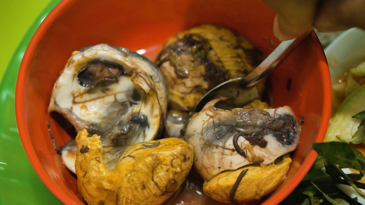 Ein befruchtetes entenei gefällig?