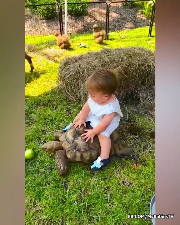 Funniest Baby Meets Animals