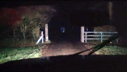 Cal Bande-annonce (EN)