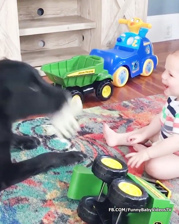 Funniest Baby and Dog Playing Together - Funny Baby and Pet