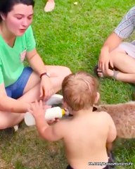 Hilarious Babies and Animals Trolling Together