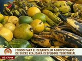 Sucre | Fondades realiza despliegue territorial ofreciendo productos alimenticios a bajo costo
