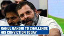 Rahul Gandhi to challenge Surat court conviction today in a Gujarat court | Oneindia News