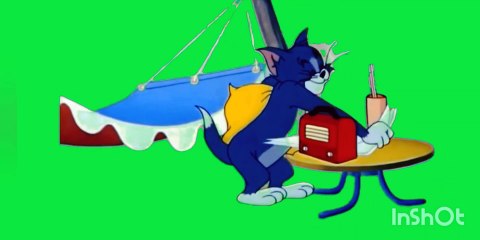 Room and jeary clip funny video clip