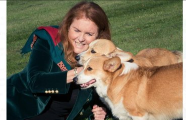 Sarah Ferguson says 'Queen’s corgis are over their grief’