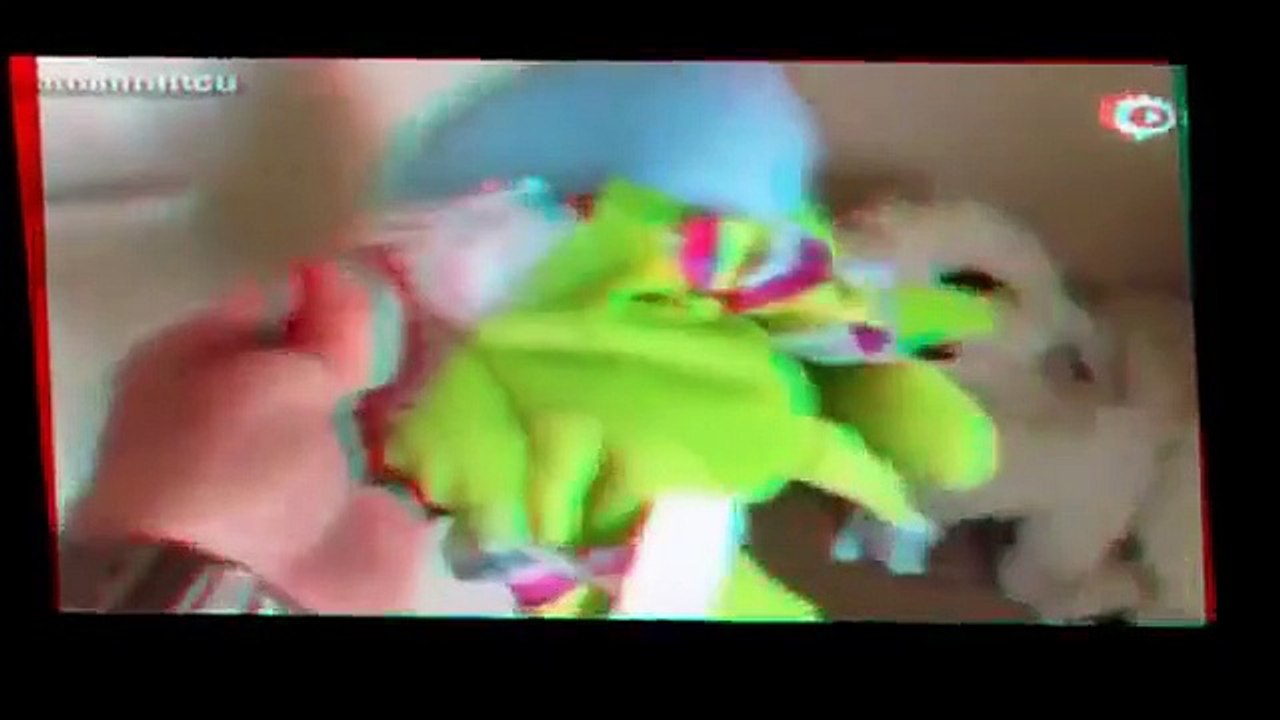 Funny Videos   Funny Cats   Funny Pranks   Funny Animals Videos Funny Cats