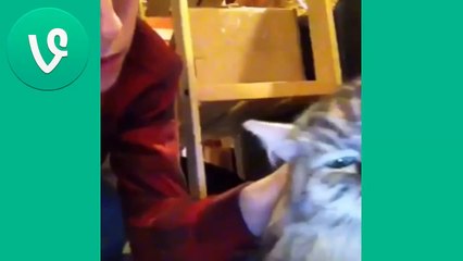 Best Funny Animals Vines compilation New!