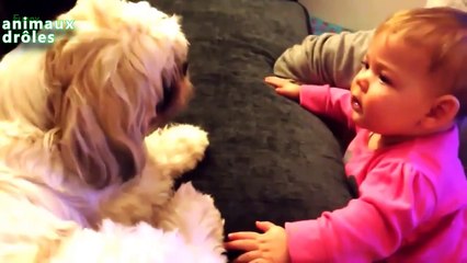 Bébés drôle parlent aux chiens