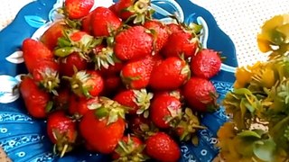 Iftaar Special Drink - Ramzan Special strawberry sabudana Drink
