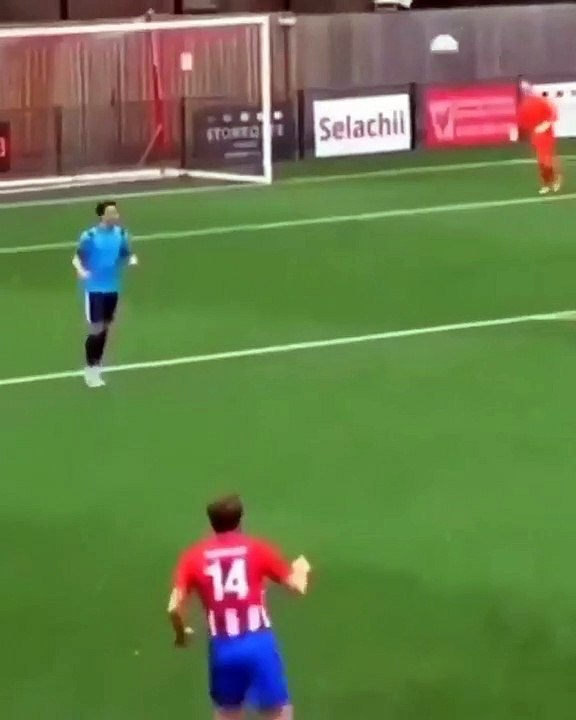 the biggest and best football goals video Dailymotion