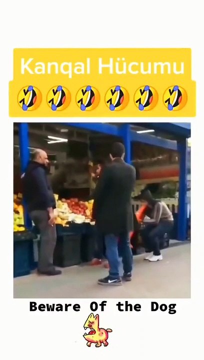 Funny video
