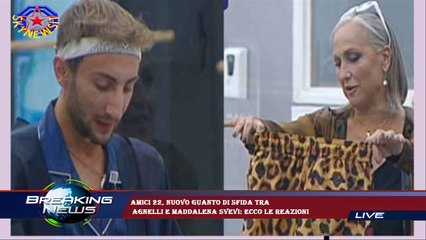 Amici 22, nuovo guanto di sfida tra  Agnelli e Maddalena Svevi: ecco le reazioni