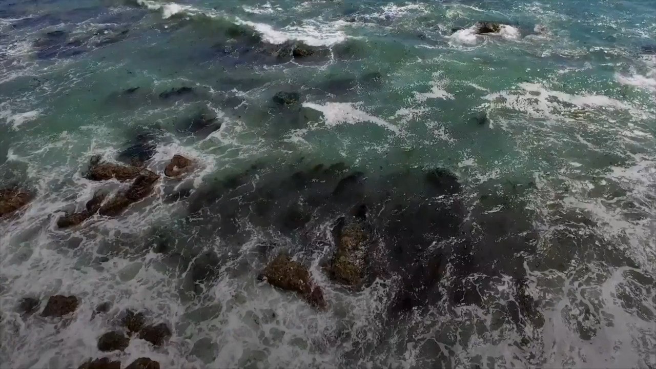 This Small California Town Is One of the Most Beautiful Coastal Destinations in the State