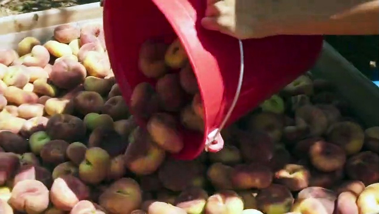 Nos Soleils Bande-annonce (RU)