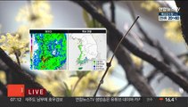 [날씨] 내일까지 전국 봄비…강풍 동반 집중호우 주의