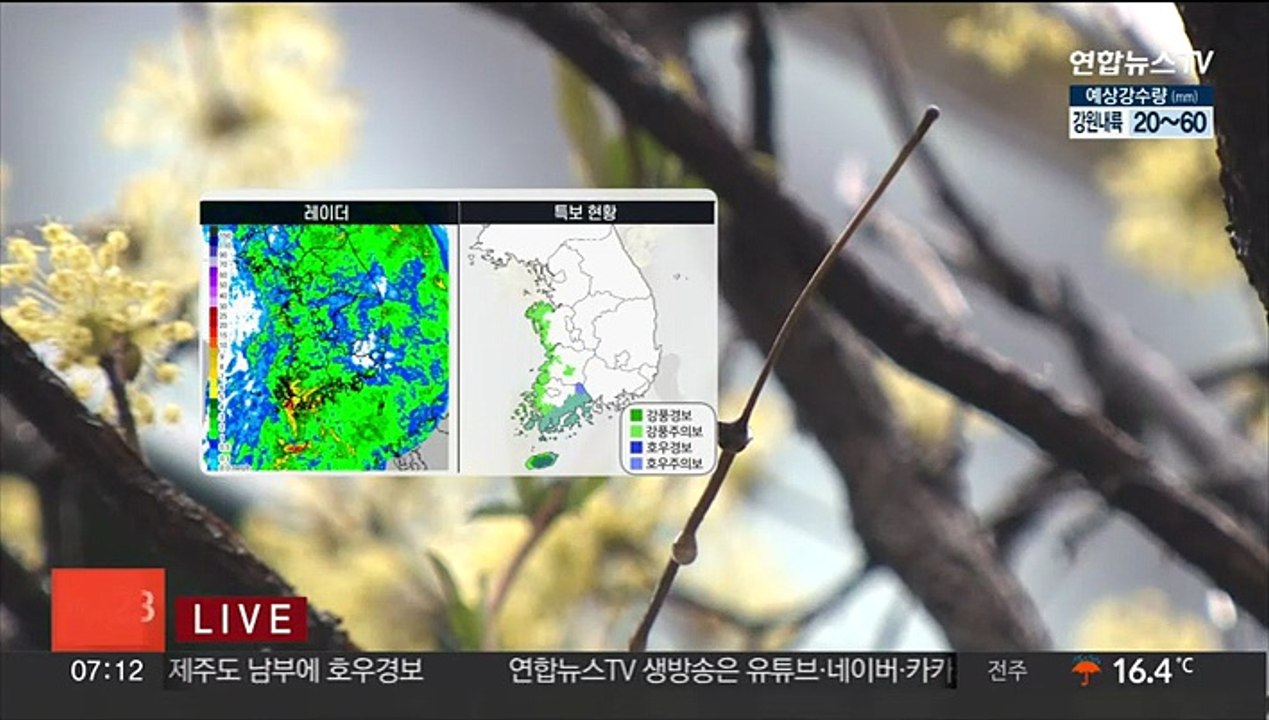 [날씨] 내일까지 전국 봄비…강풍 동반 집중호우 주의