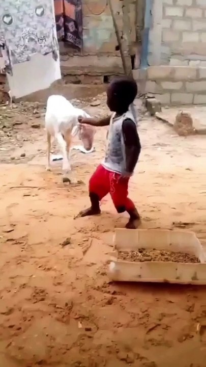 Funny video a073afde44a0a0a9659617800487_45559837_1648115072310834_4539168180166924245_n