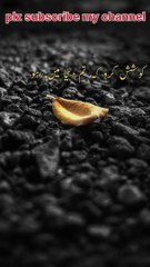 Daily best quotes #hazratali #bestquotes #dailychallenge