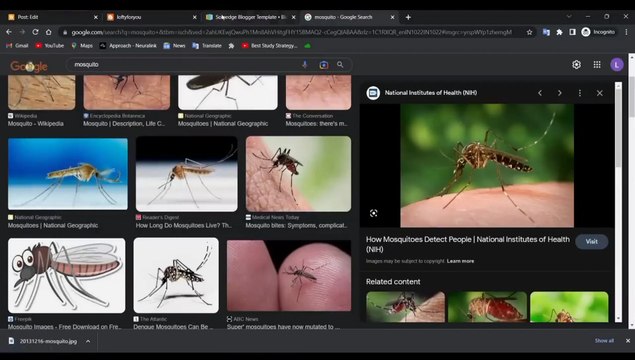 Earn 10000$ in 30 days|Online part 2| Like and Follow for more videos